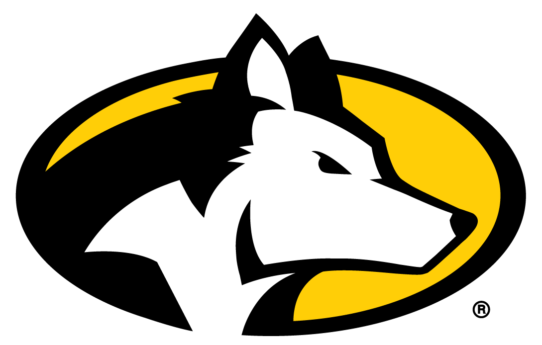 Michigan Tech Huskies 2016-Pres Partial Logo DIY iron on transfer (heat transfer)